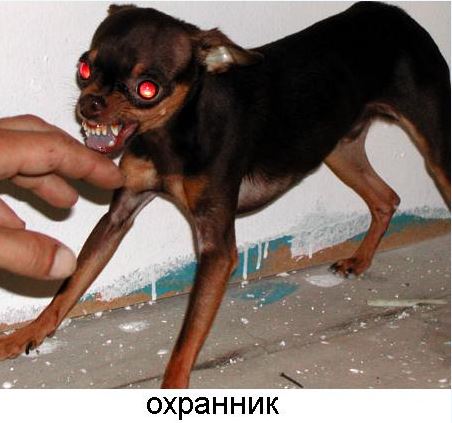 7.JPG