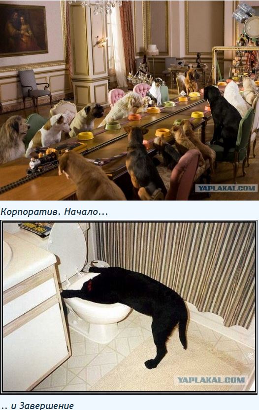 6.JPG