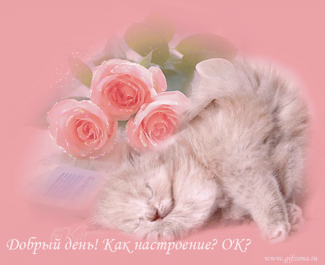 Добрый день!.gif