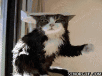 0_4c6b9_8877a228_M.gif