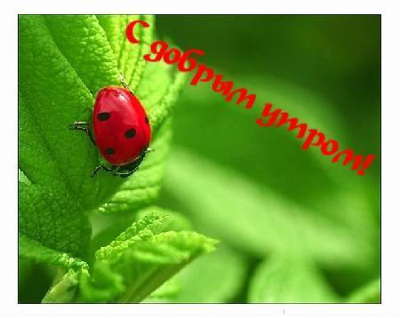 bd87ea27c1ef.jpg