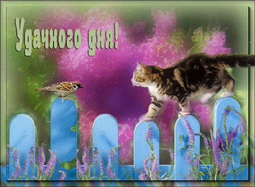 906346057.gif