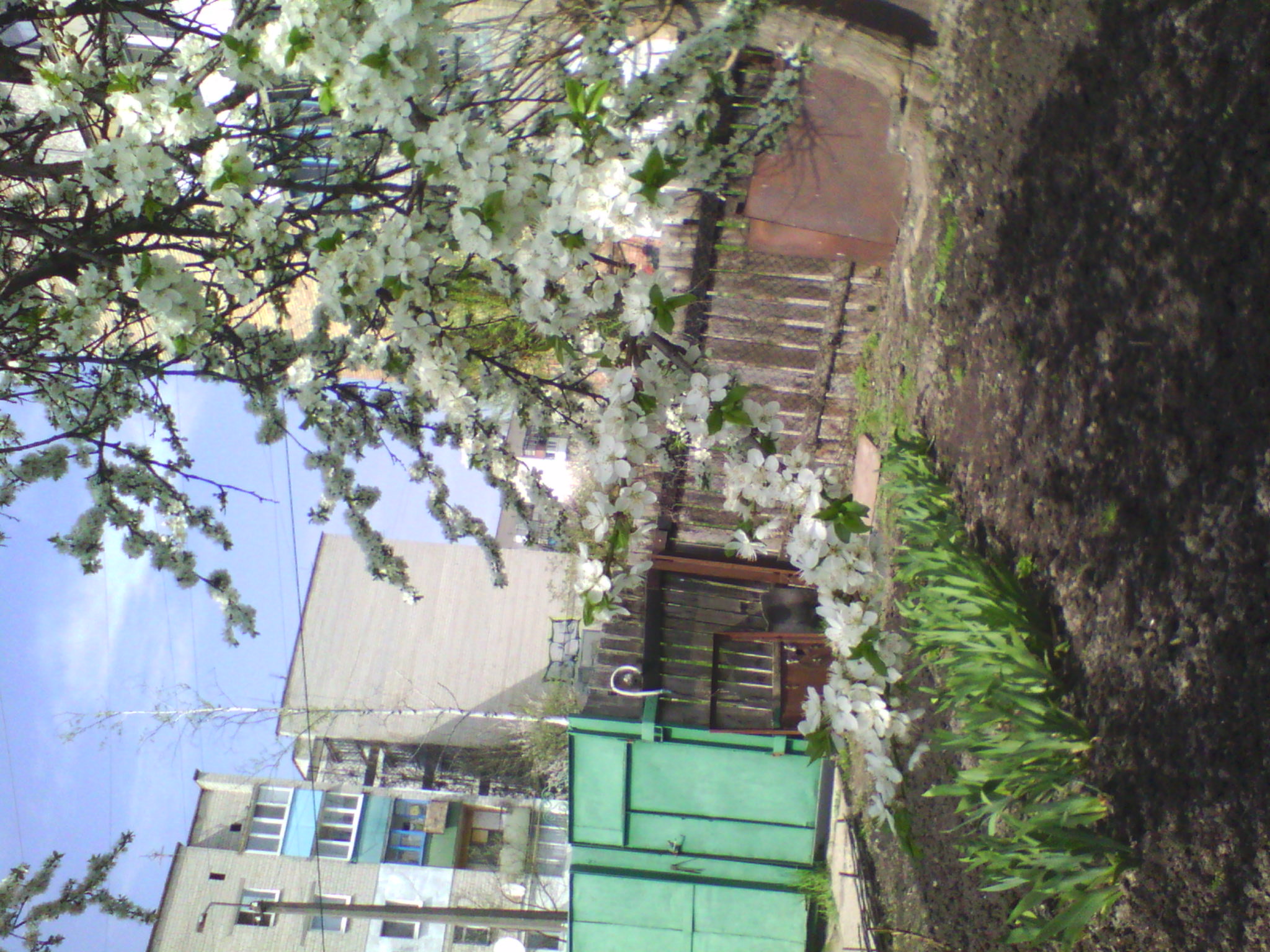 IMG_20130428_140052.jpg