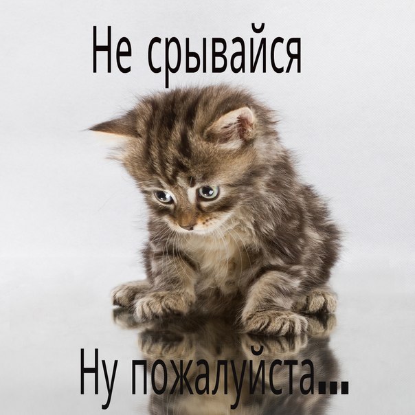 SfDVqZpIFN0.jpg