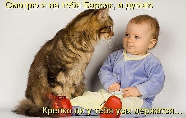 dAZj-_BNRN8.jpg