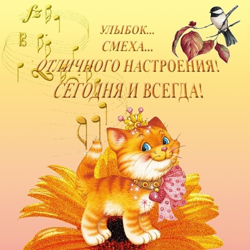 0c07defde276227ec65e306b8f96cbfe.jpg