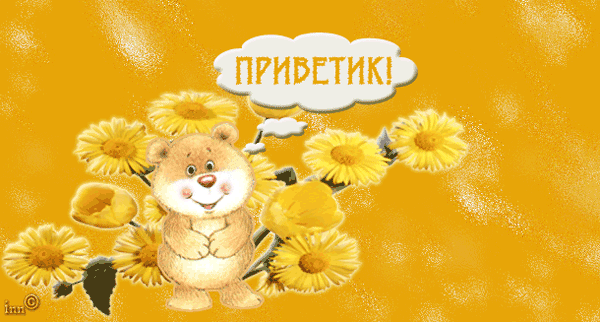 341120955.gif