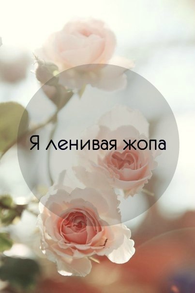 IJvrXfQFyzk.jpg