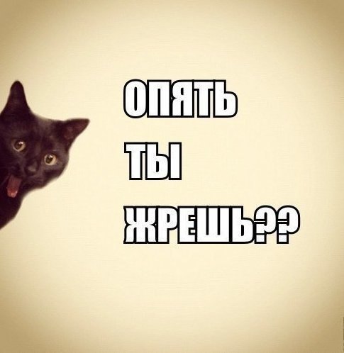 4nNddE0Tdsg.jpg