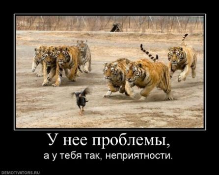 2b72b4eed237274a4886cd283339df19.jpg