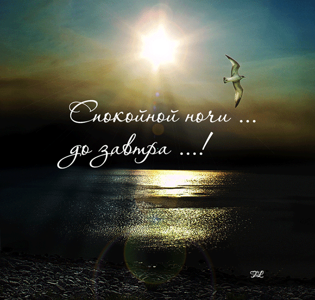 спок.gif