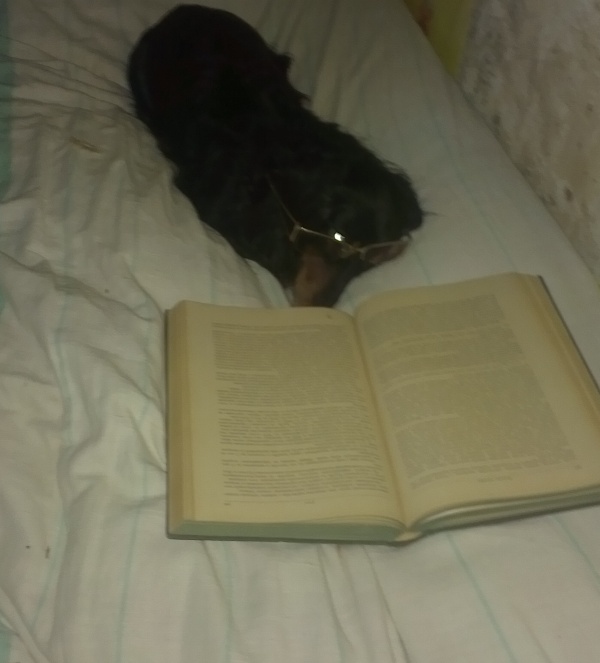 IMAG1032.jpg