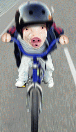 1196674547_22.gif