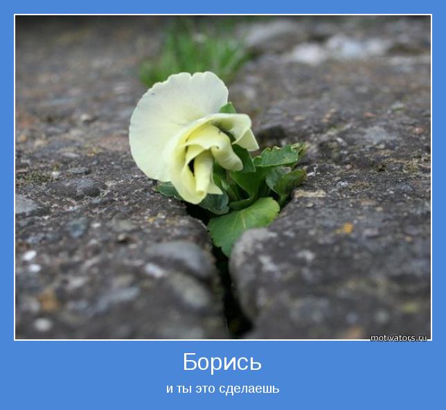 motivator-6956.jpg
