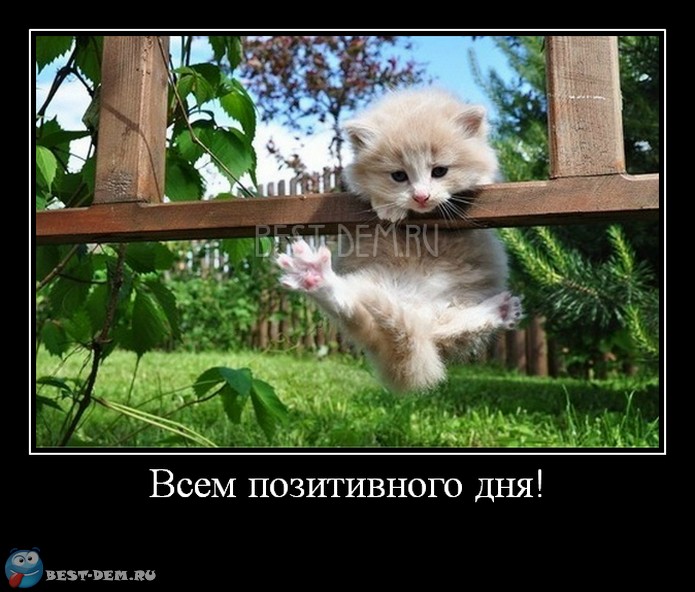 Всем-позитивного-дня.jpg