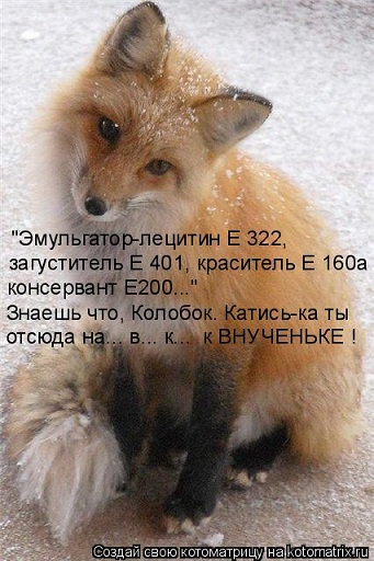 909372.jpg