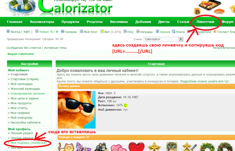 Безымянный.png