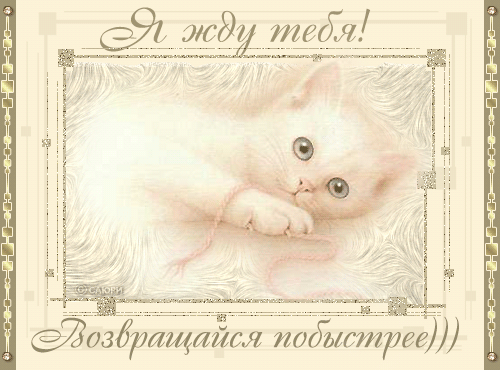 post496899_img1_d8bb37c4509ecc7b908fb888ec3c73a9.gif