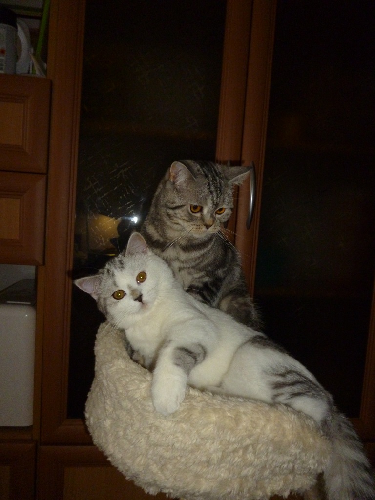 P1090064.JPG