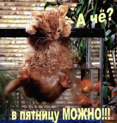 Пятница1.jpg