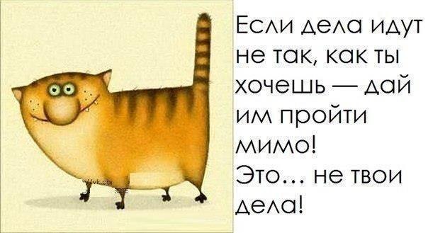 sXzfBJU0xFk.jpg