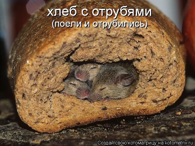 95259515_getImage.jpg