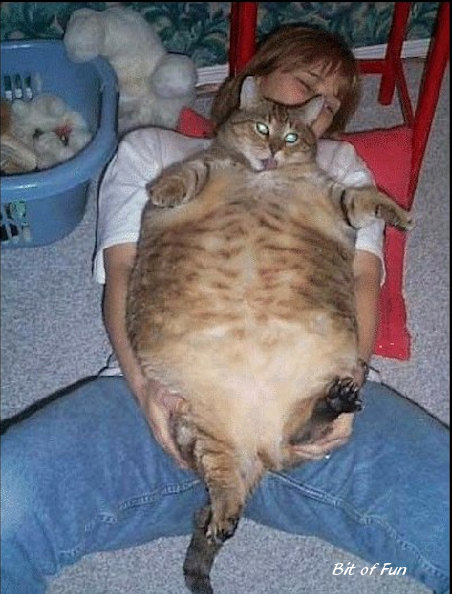 wei-big_fatpussy.jpg
