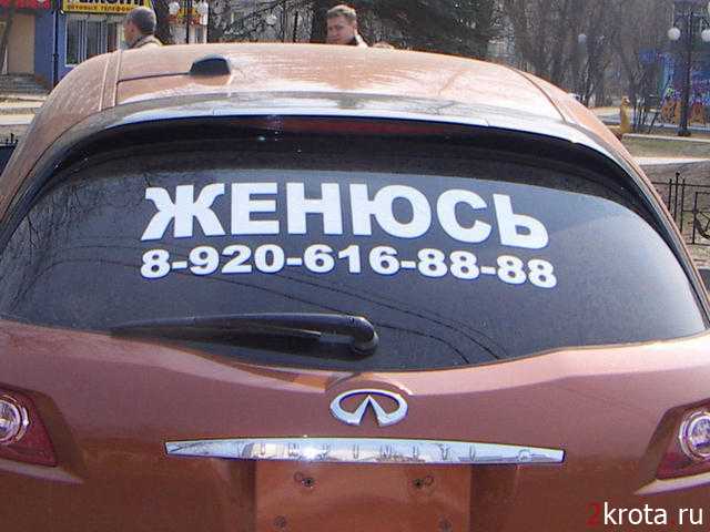 1233681582_zhenus.jpg