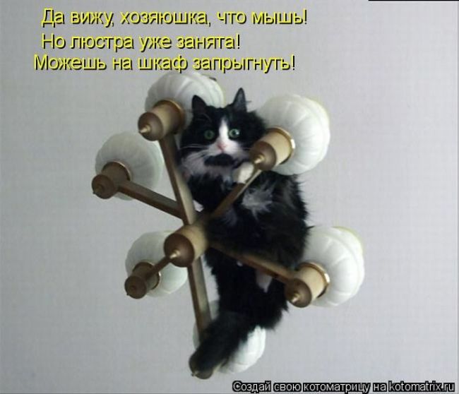 1324033657_17.jpg
