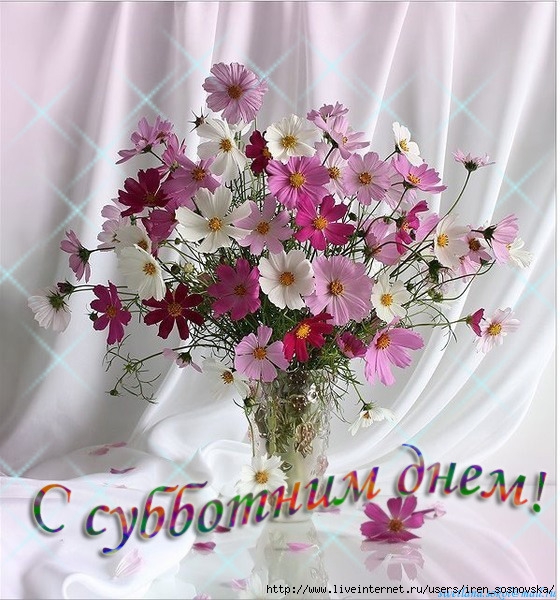 49981752__152EE1.JPG