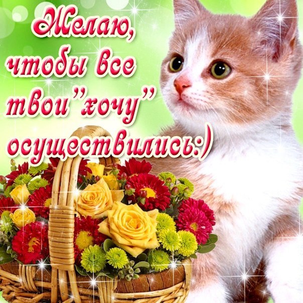 sPMfyjoiOuw.jpg