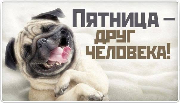 пятница1.jpg