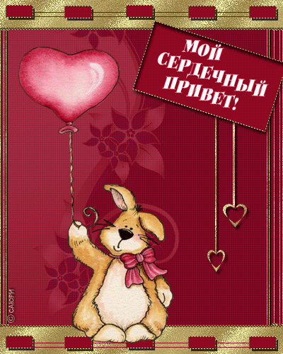 привет (2).gif