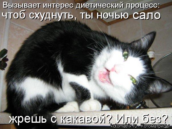 kotomatritsa_K.jpg