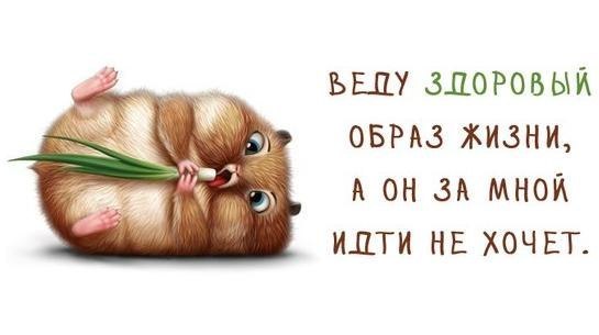 EsAOVKtGDyE.jpg