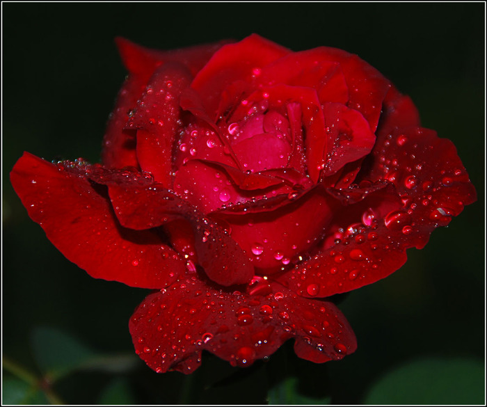 472656_original.jpg