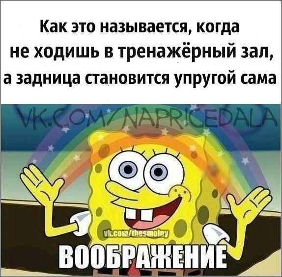1rimQNBvZKI.jpg