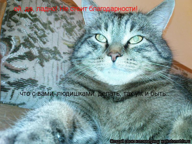 418943.jpg