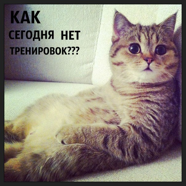 GOEWL_T8OeQ.jpg