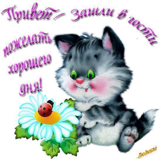 d9bbb80f08e9b0beb4ffcfdb464e615a.jpg