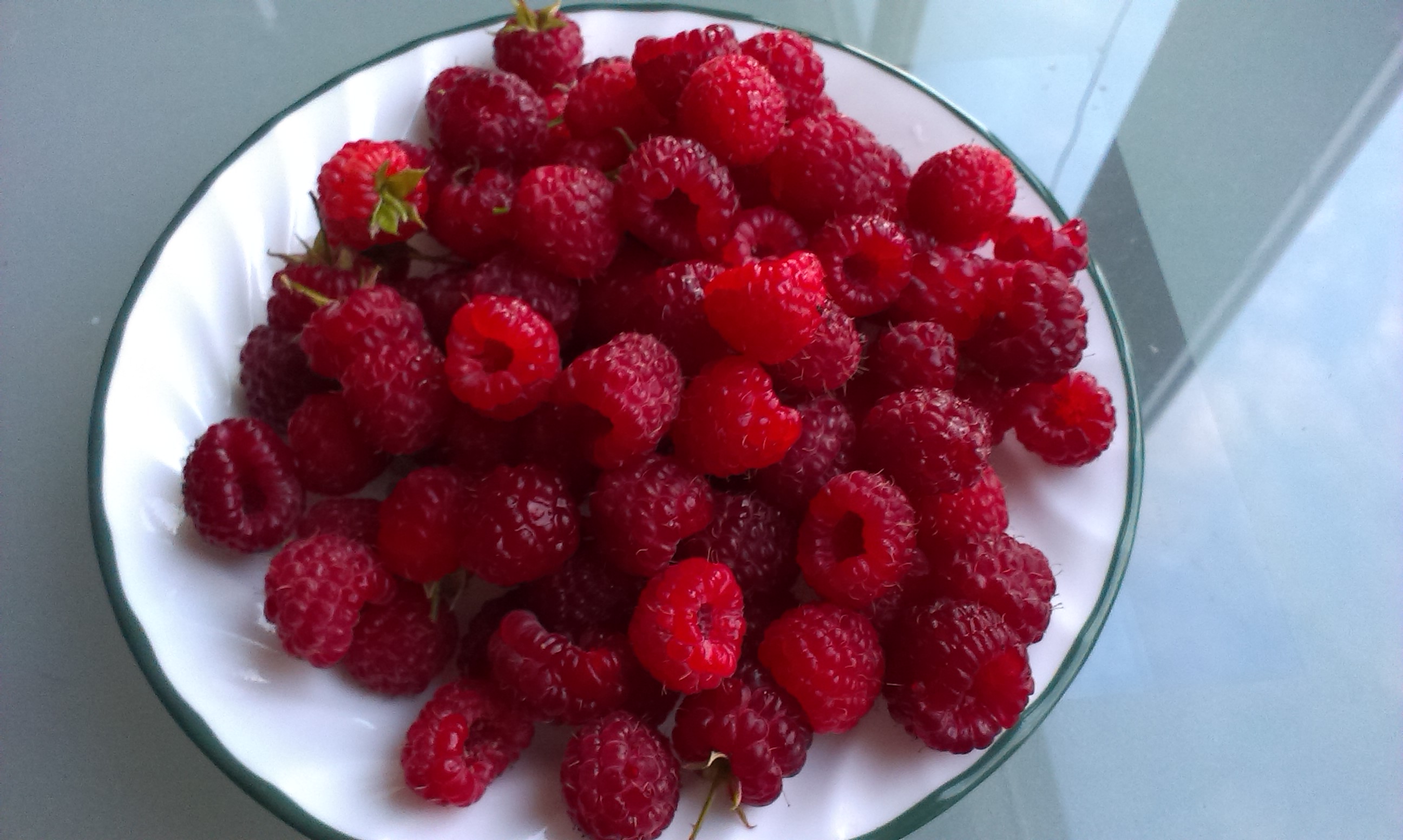 IMAG0740.jpg