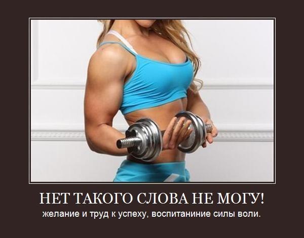 uI2G6CopImw.jpg