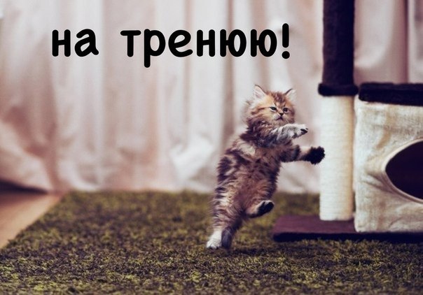 OBjhMtdy3g8.jpg