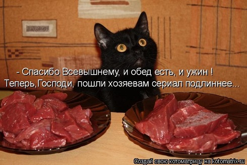 907368.jpg