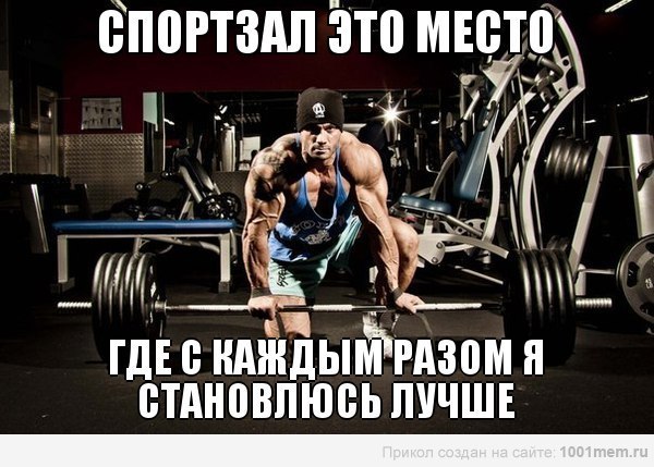 OhfOqEds6JU.jpg