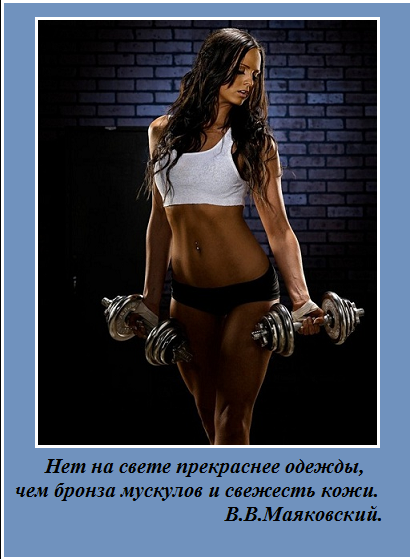 Безымянный 6565.png