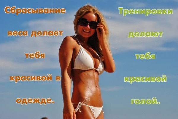 3714523.jpeg