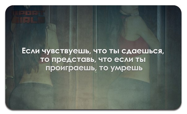 dNuNCnBWzZg.jpg