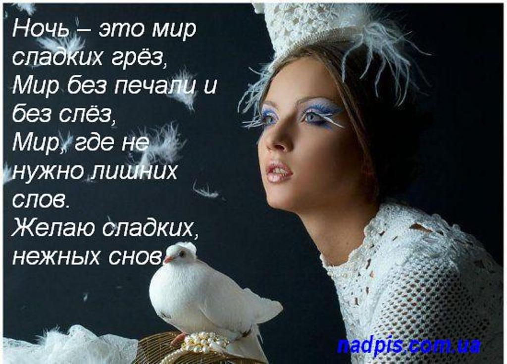 nadpiscomuazhelayu-nezhnyx-snov.jpg