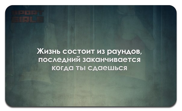 N6dwPbKvzMU.jpg